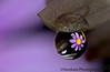 photo by: Vandana photo by: Vandana